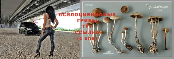 мяу мяу мука Алзамай