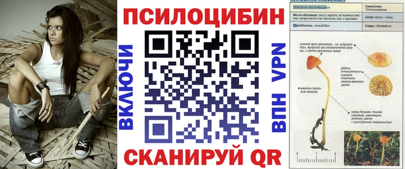 Псилоцибиновые грибы мухоморы Барнаул