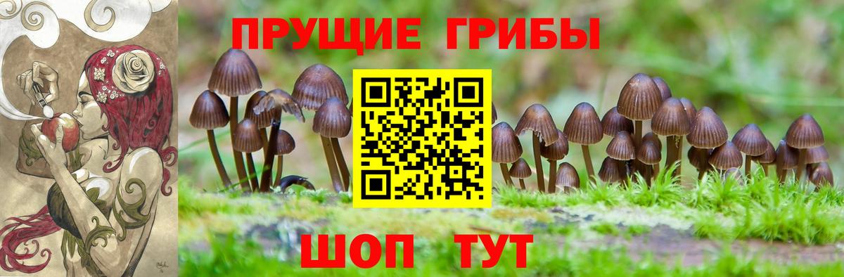 Псилоцибиновые грибы мухоморы  Вход с VPN  Барнаул 